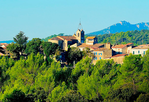 Bonjour tout le monde !